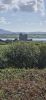 PICTURES/Ring of Kerry - Cahergall, Ballycarbery Castle & Kerry Cliff/t_20250928_151209.jpg